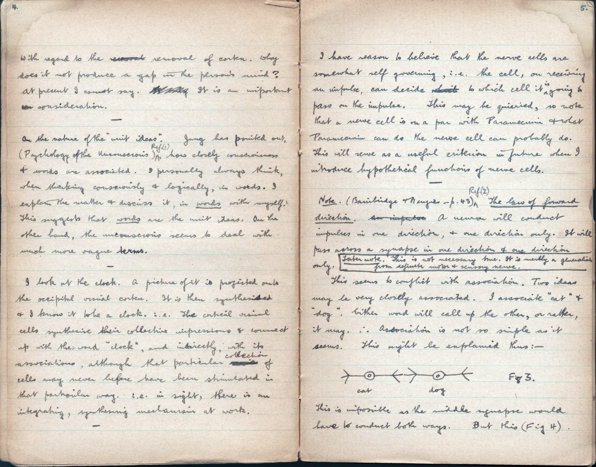 This image is copyright 1972, 2008 © 2008 The Estate of W. Ross Ashby