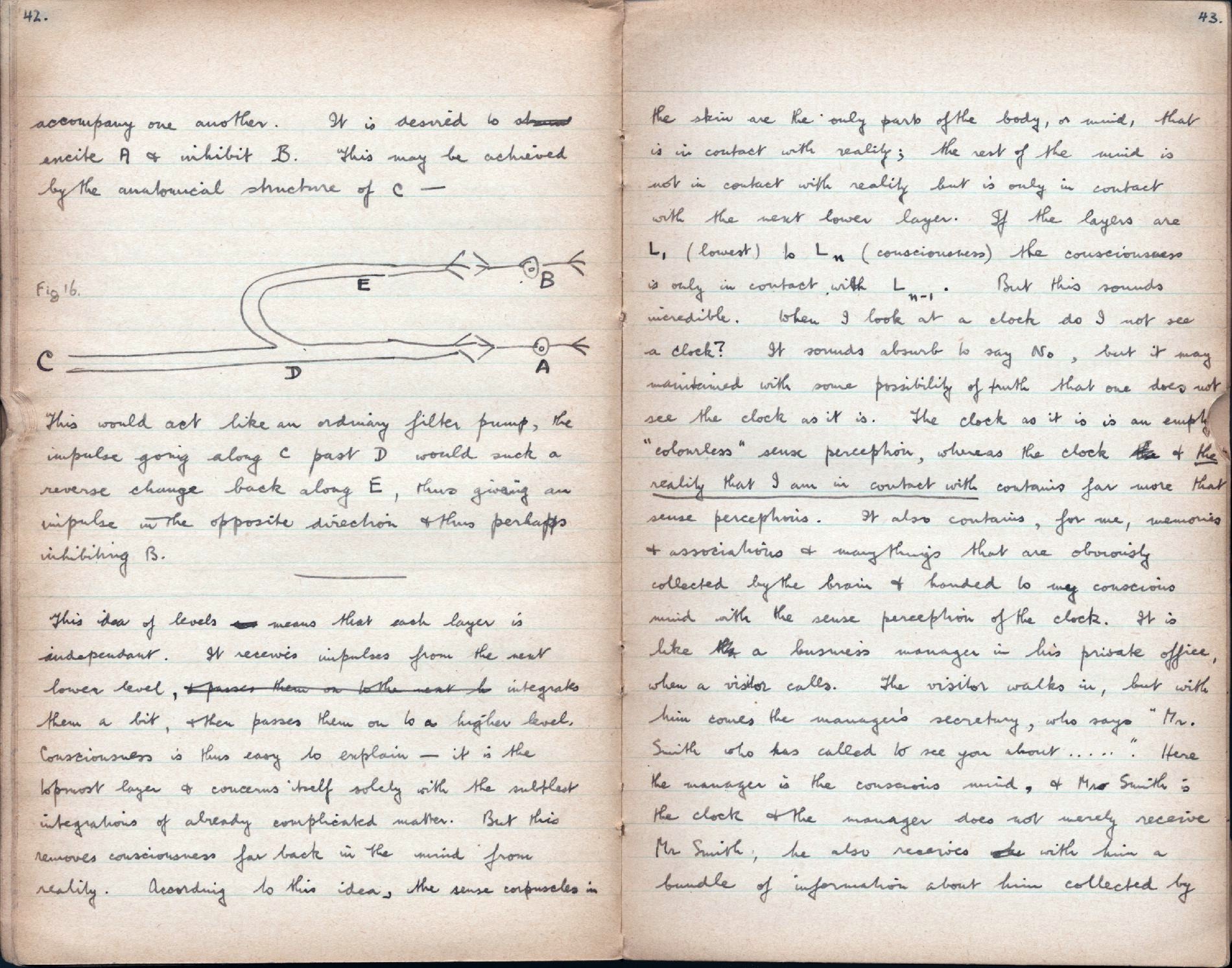 This image is copyright 1972, 2008 © 2008 The Estate of W. Ross Ashby