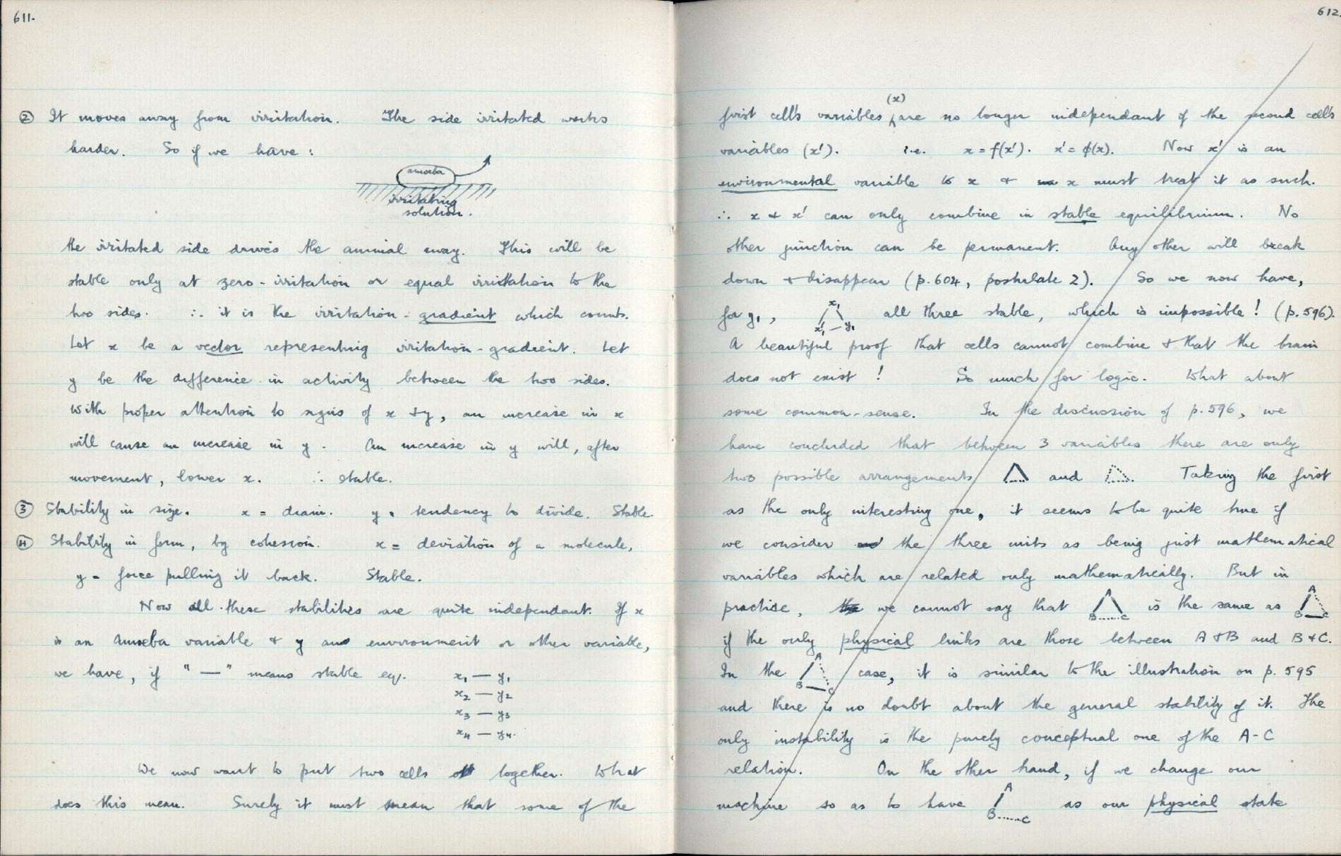 This image is copyright 1972, 2008 © 2008 The Estate of W. Ross Ashby