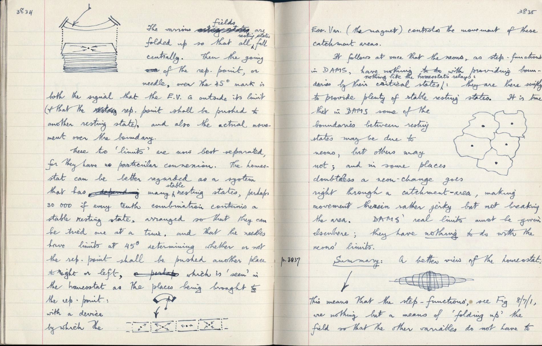 This image is copyright 1972, 2008 © 2008 The Estate of W. Ross Ashby