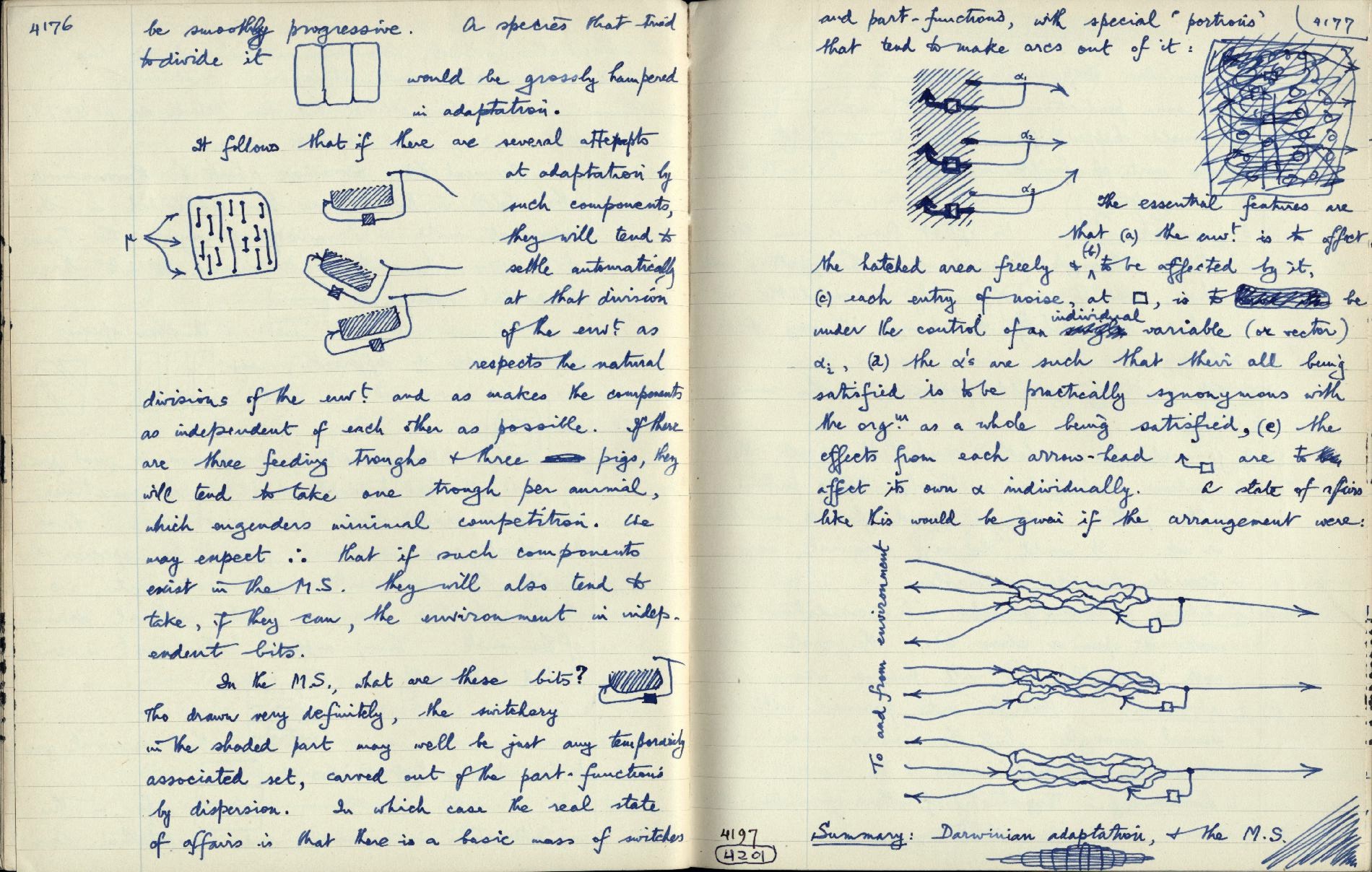 This image is copyright 1972, 2008 © 2008 The Estate of W. Ross Ashby